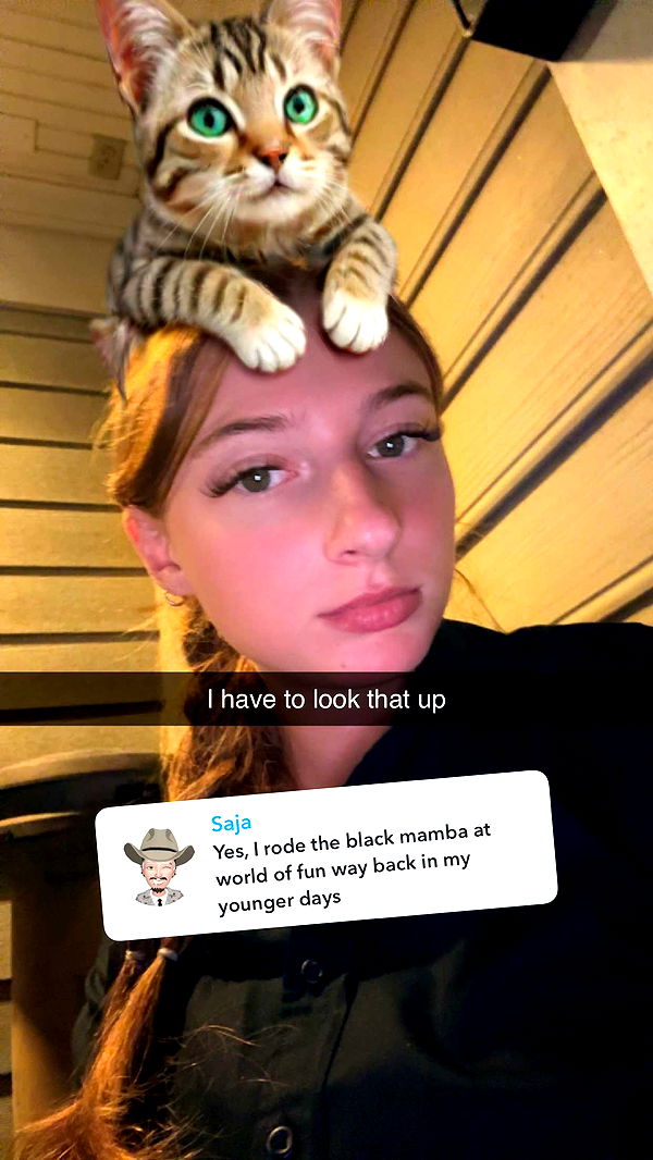 carmmieecat image ~ Altpins