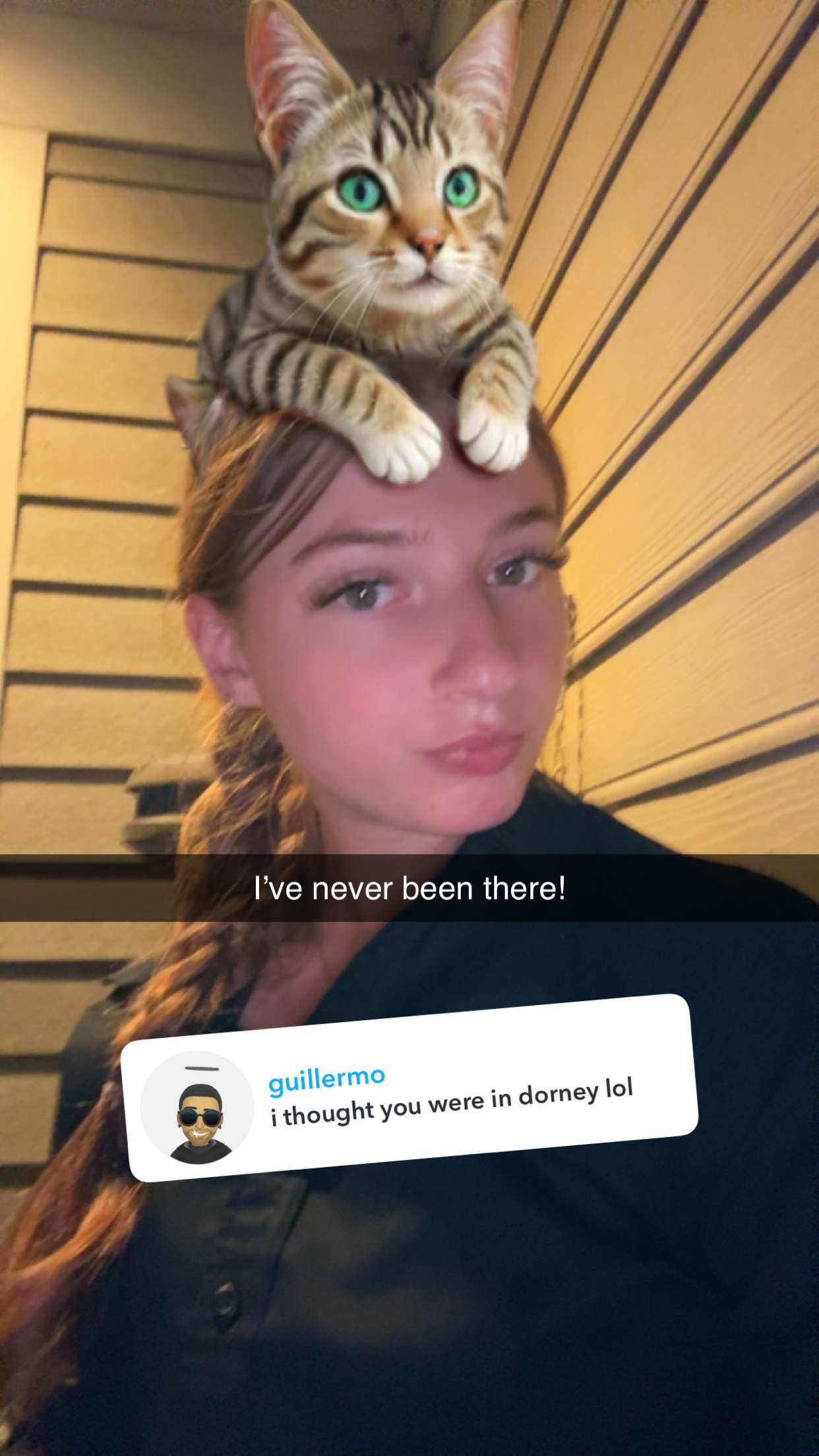 carmmieecat snapchat image archive image