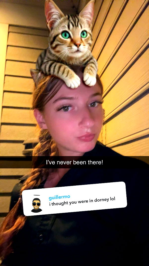 carmmieecat image ~ Altpins