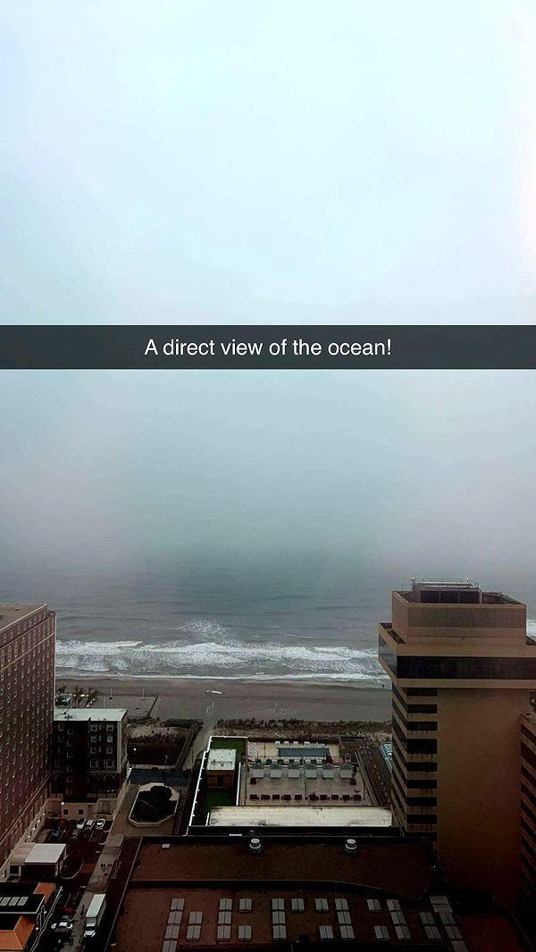 carmmieecat image ~ Altpins