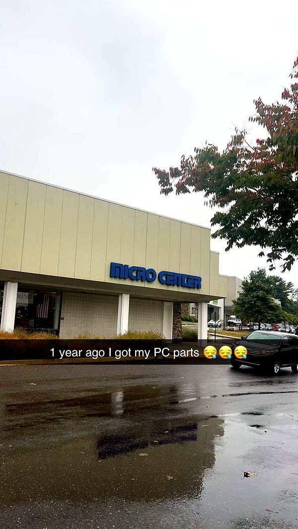 carmmieecat image ~ Altpins