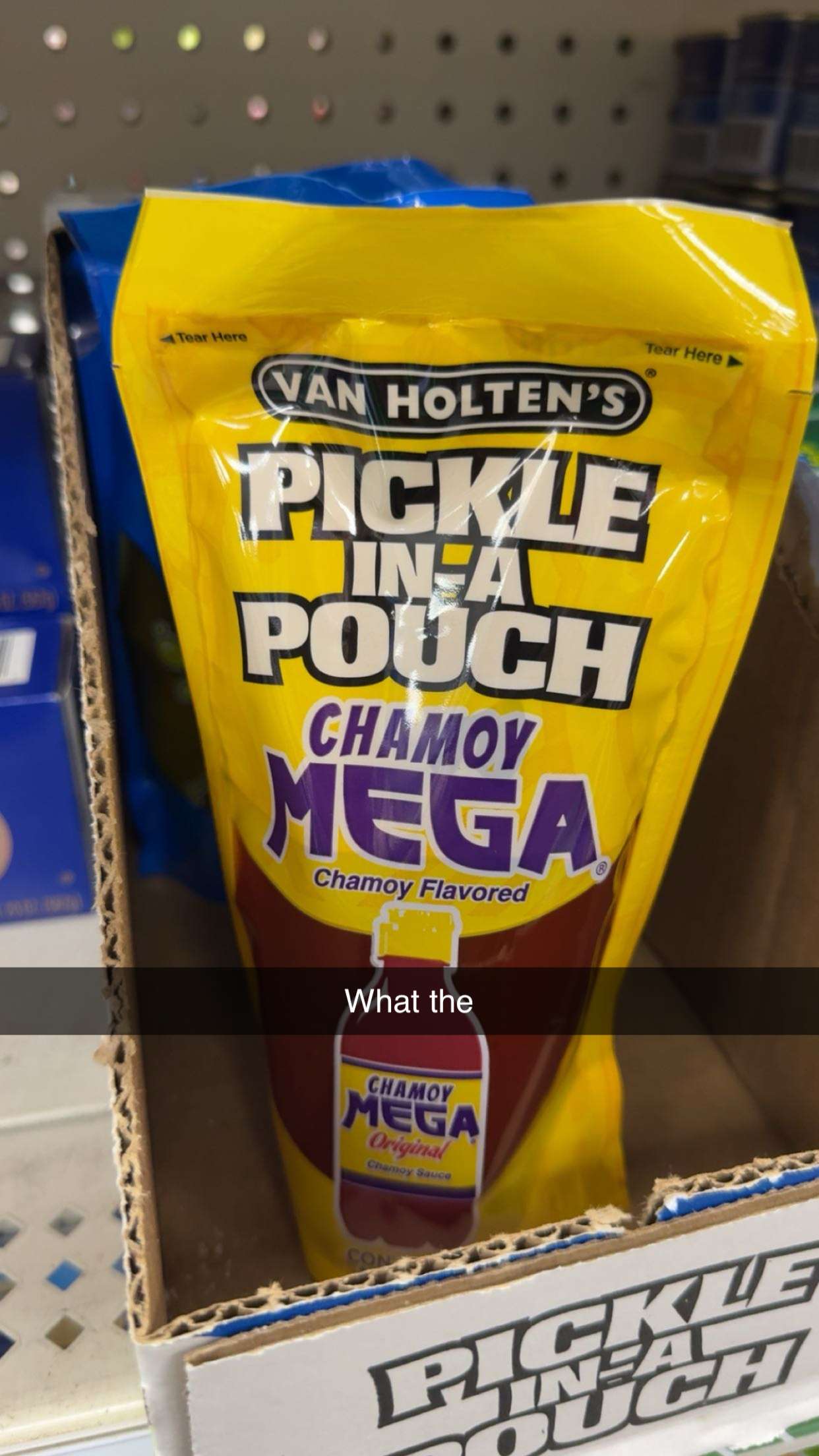 carmmieecat snapchat image archive image