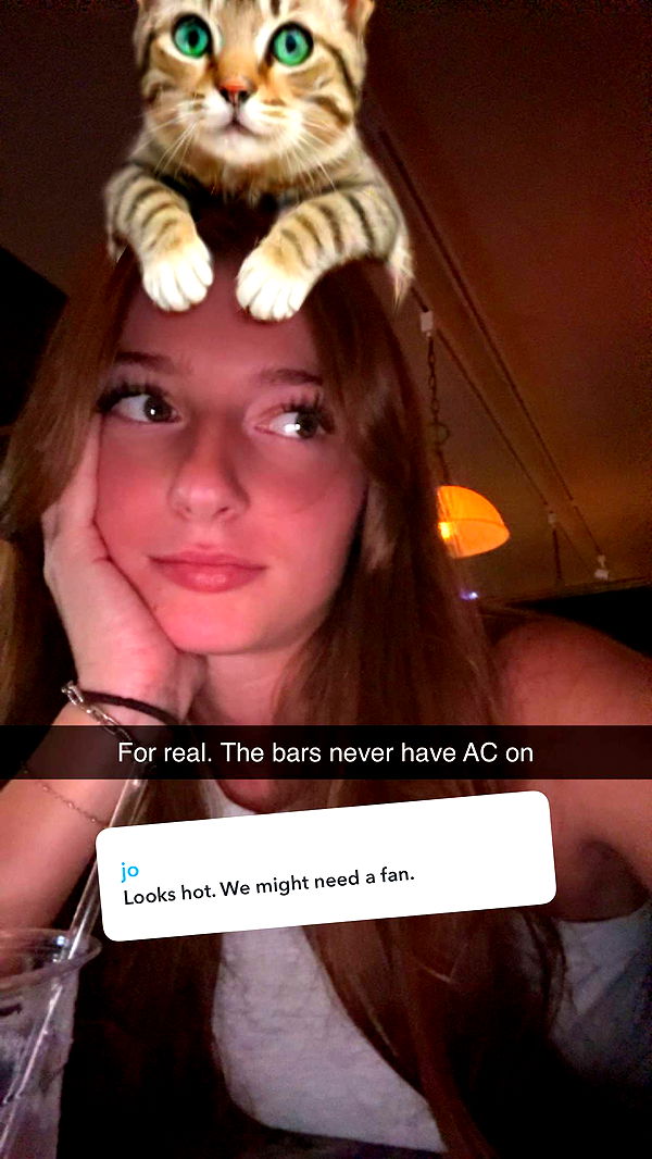 carmmieecat image ~ Altpins