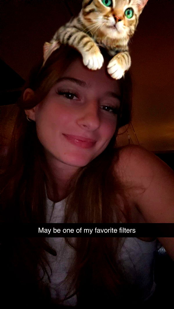 carmmieecat image ~ Altpins