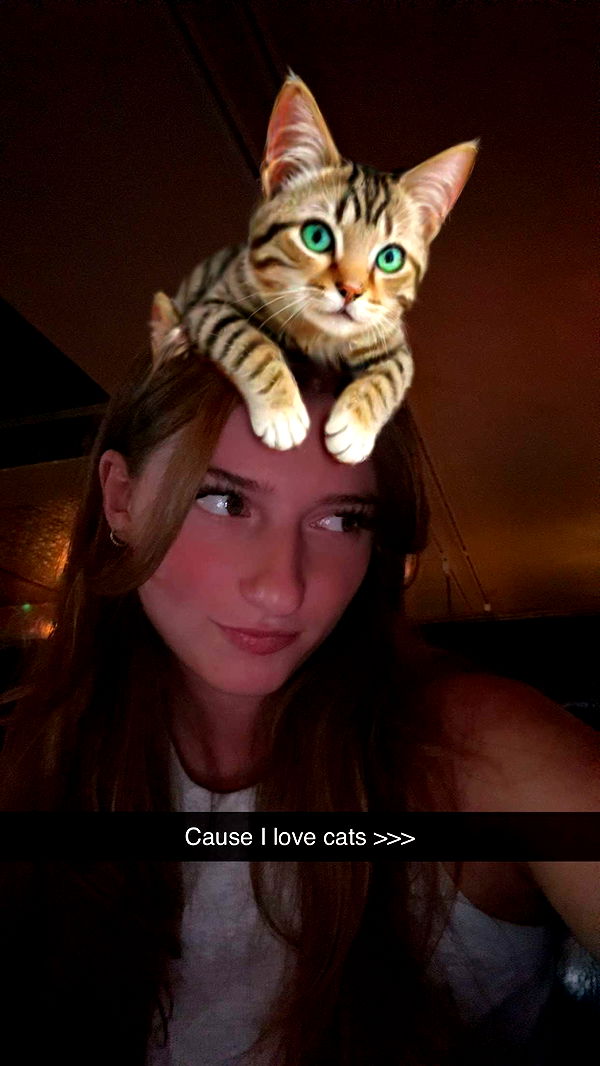 carmmieecat image ~ Altpins