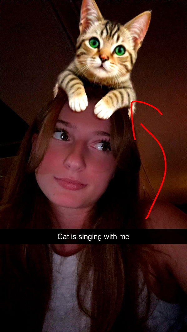 carmmieecat image ~ Altpins