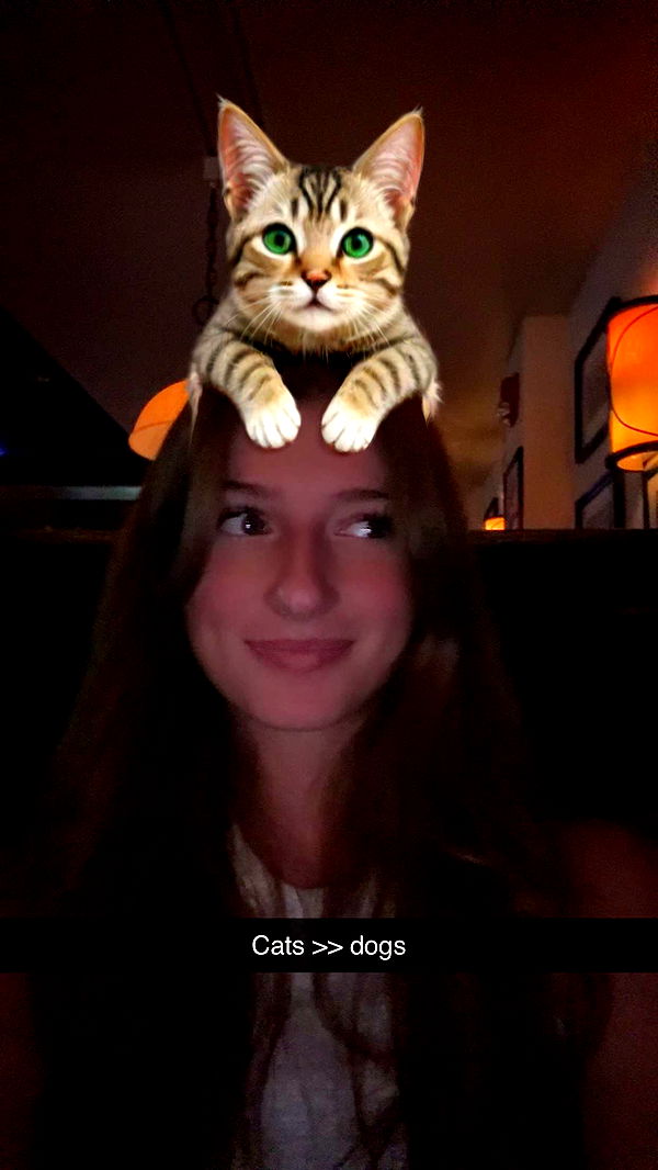 carmmieecat image ~ Altpins