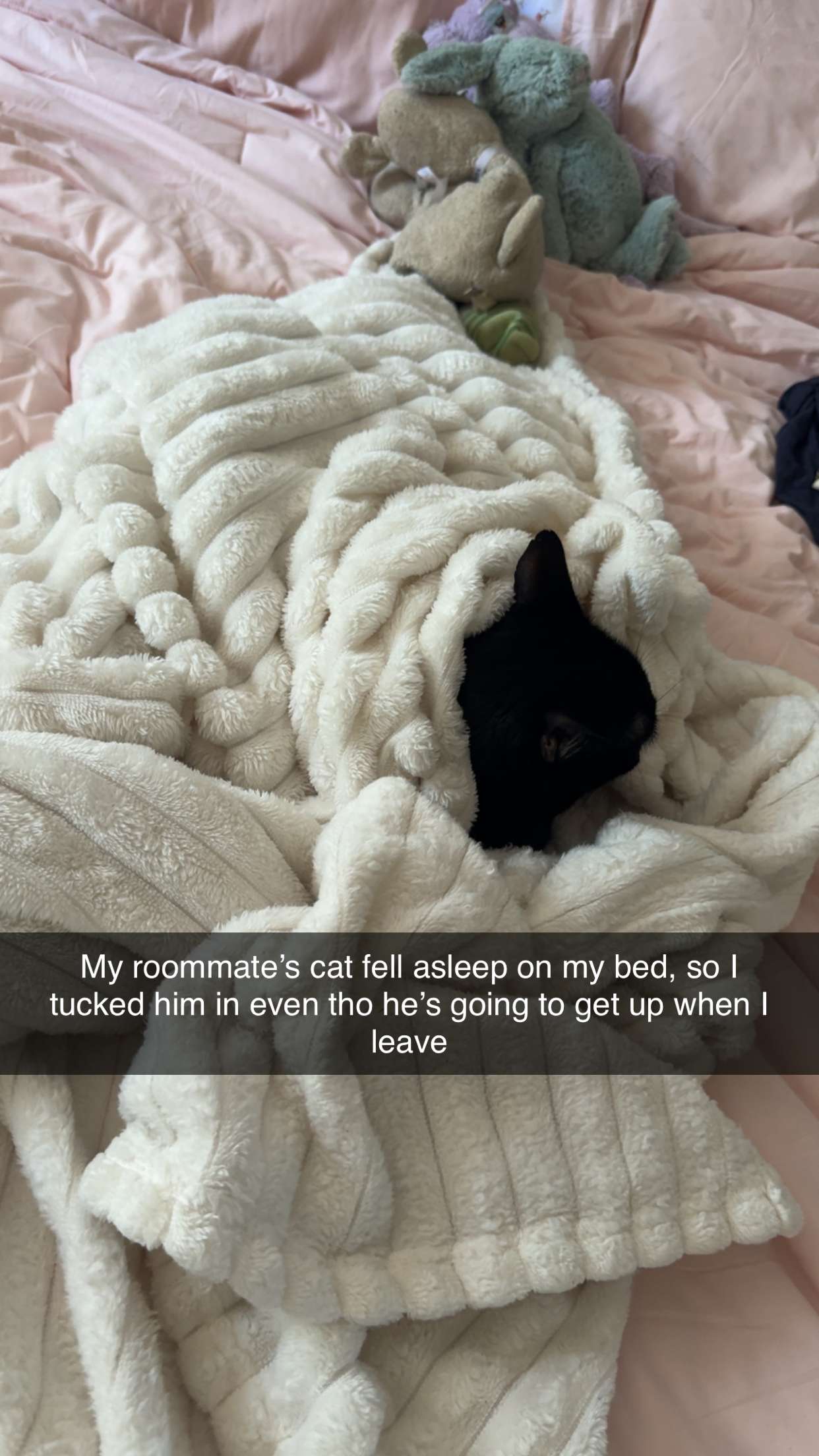 carmmieecat snapchat image archive image