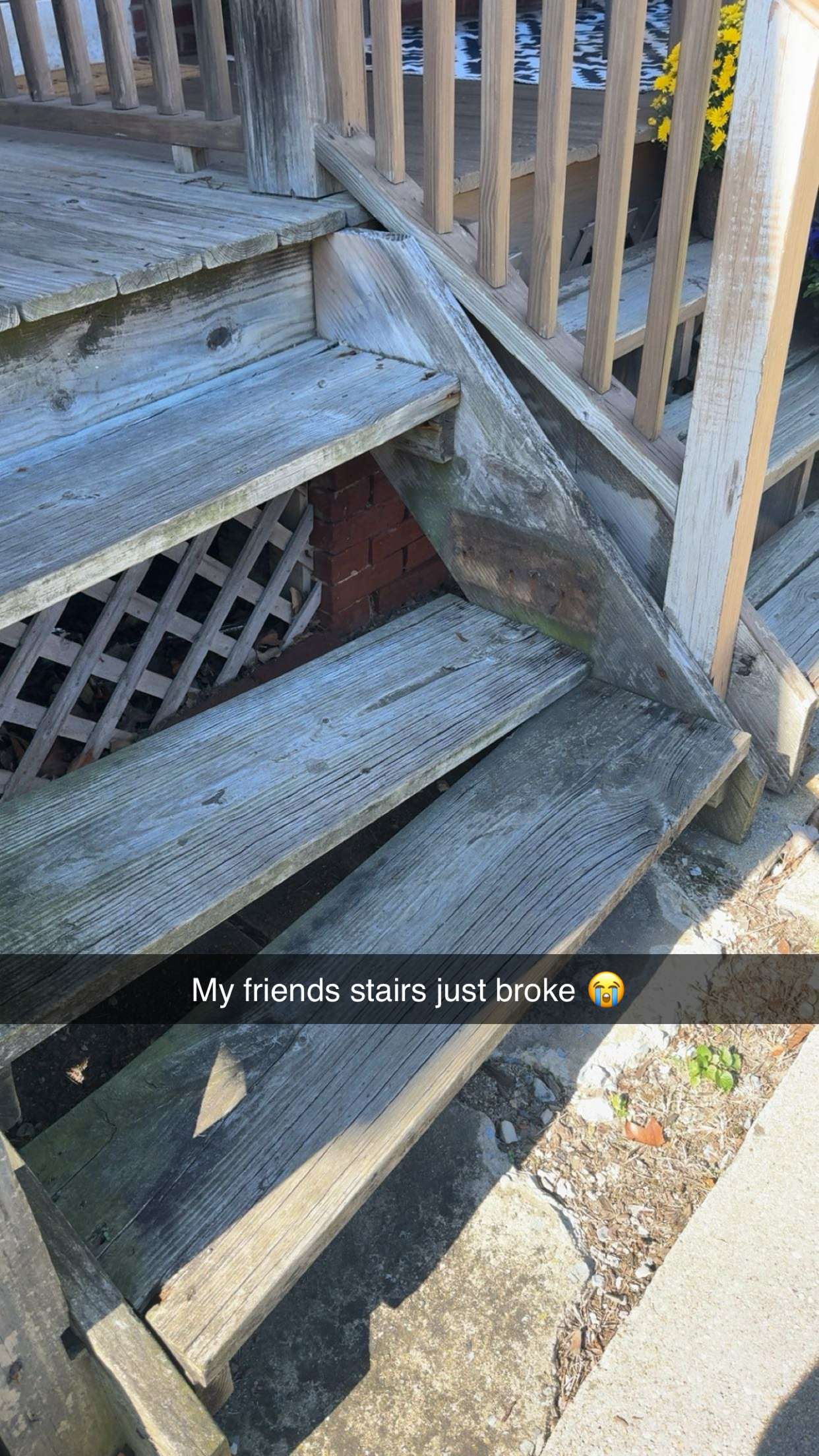 carmmieecat snapchat image archive image