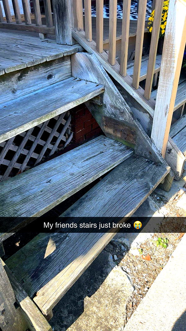 carmmieecat image ~ Altpins