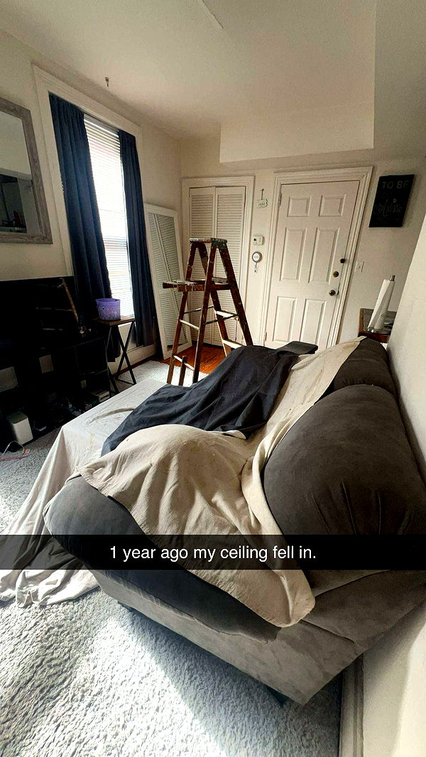 carmmieecat image ~ Altpins