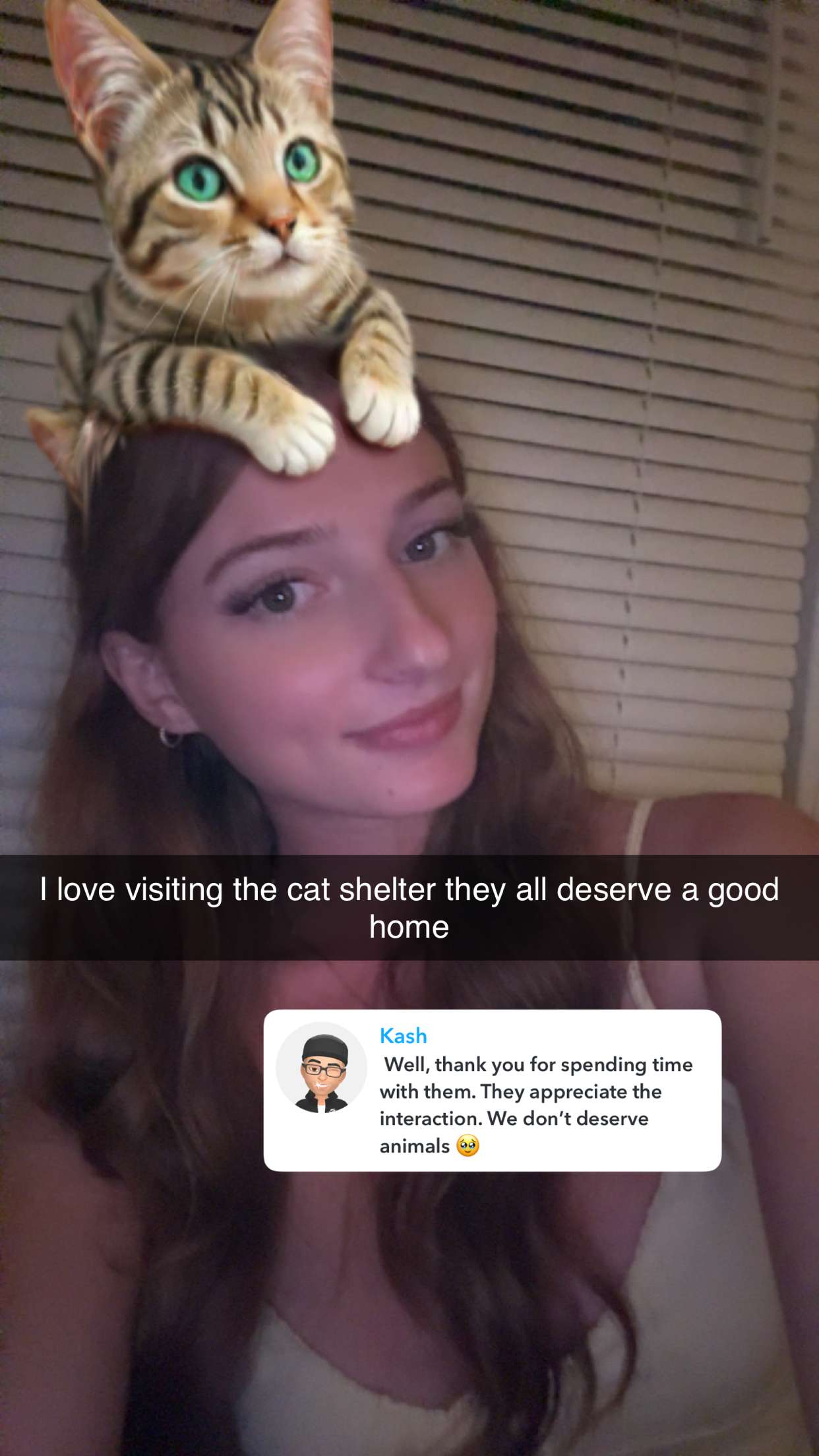 carmmieecat snapchat image archive image