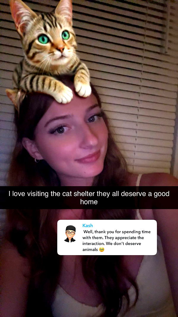 carmmieecat image ~ Altpins