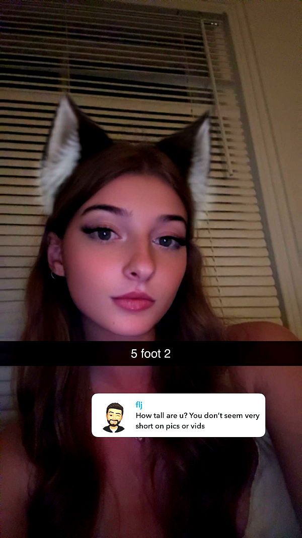 carmmieecat image ~ Altpins