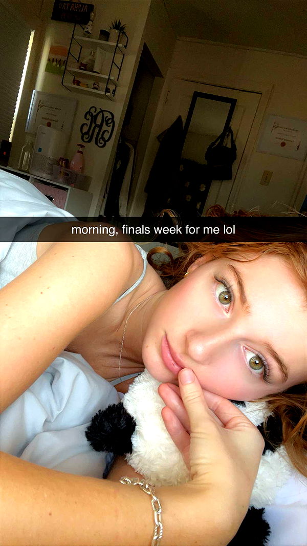 carmmieecat image ~ Altpins