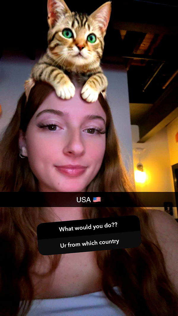 carmmieecat image ~ Altpins