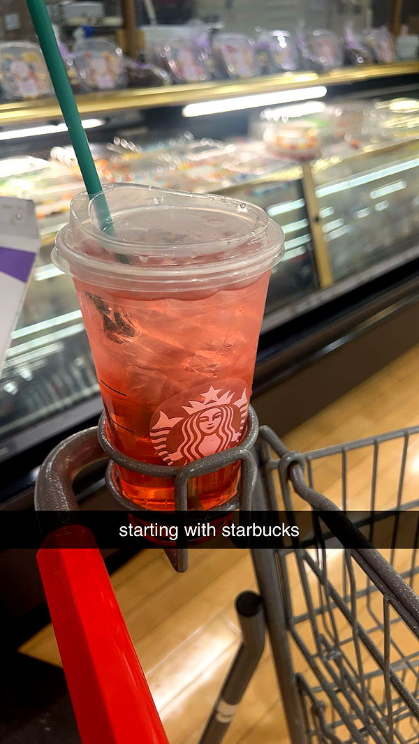 carmmieecat image ~ Altpins