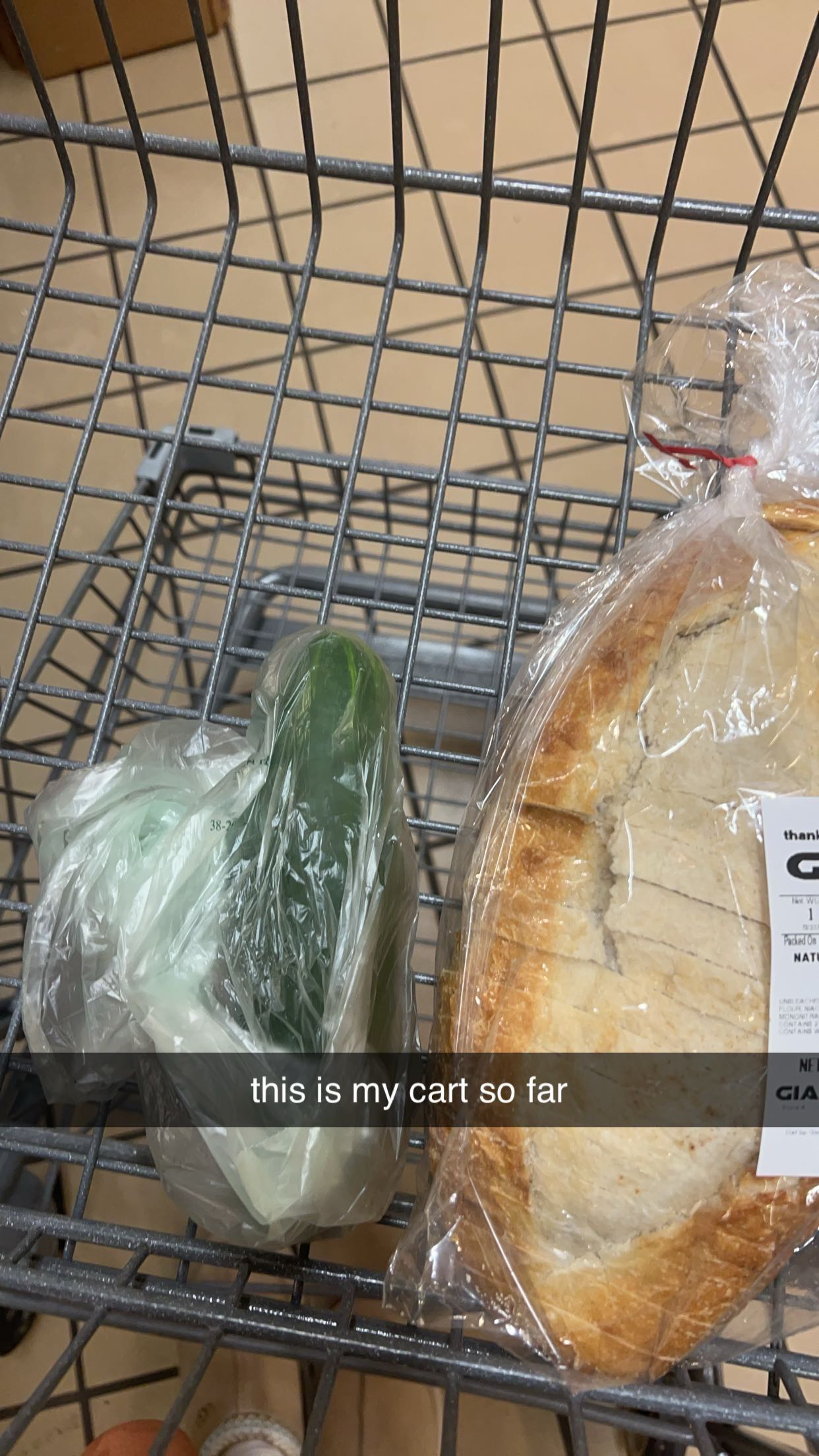 carmmieecat snapchat image archive image