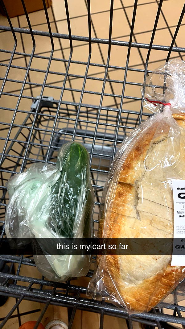 carmmieecat image ~ Altpins