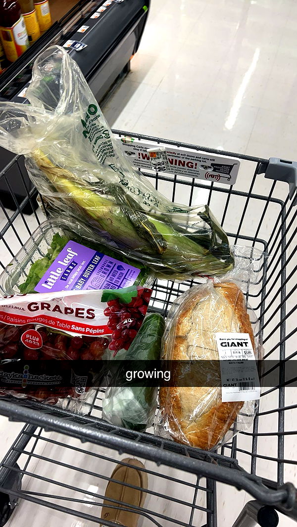 carmmieecat image ~ Altpins