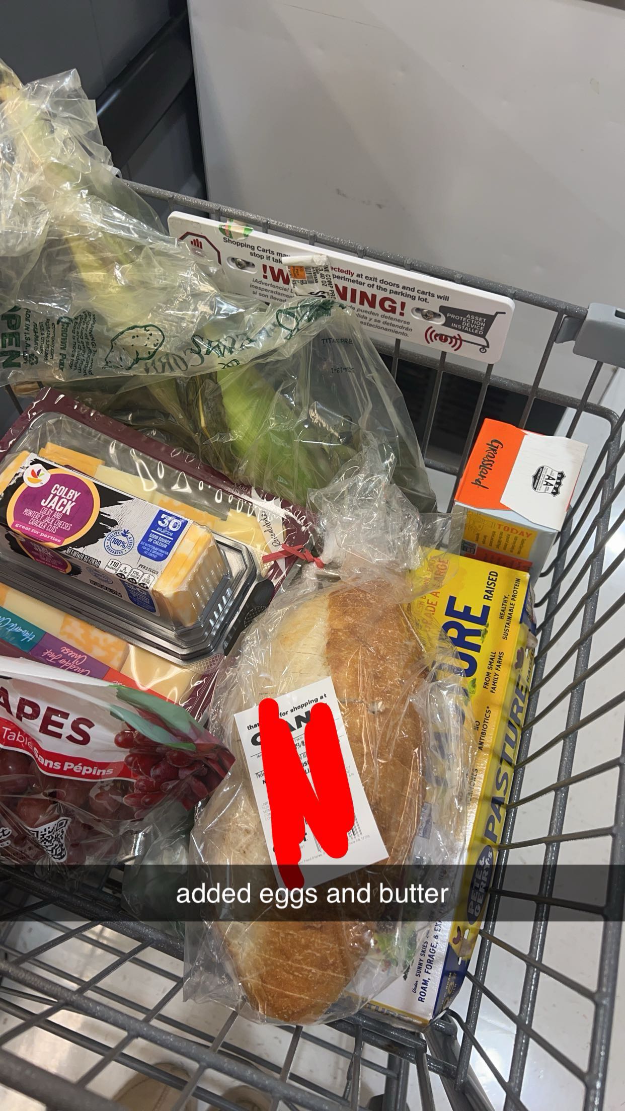 carmmieecat snapchat image archive image