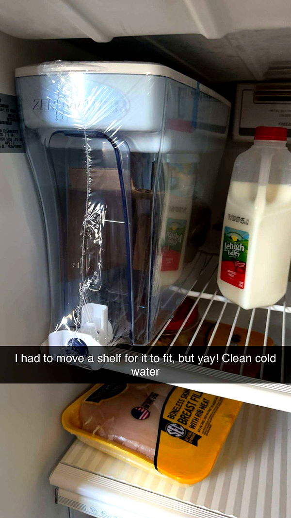 carmmieecat image ~ Altpins