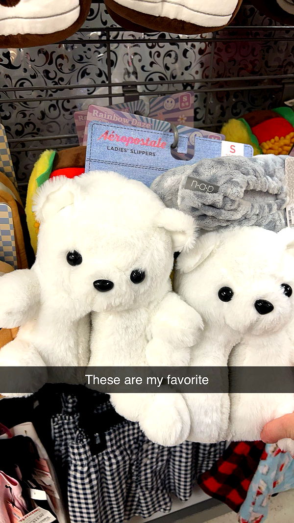 carmmieecat image ~ Altpins