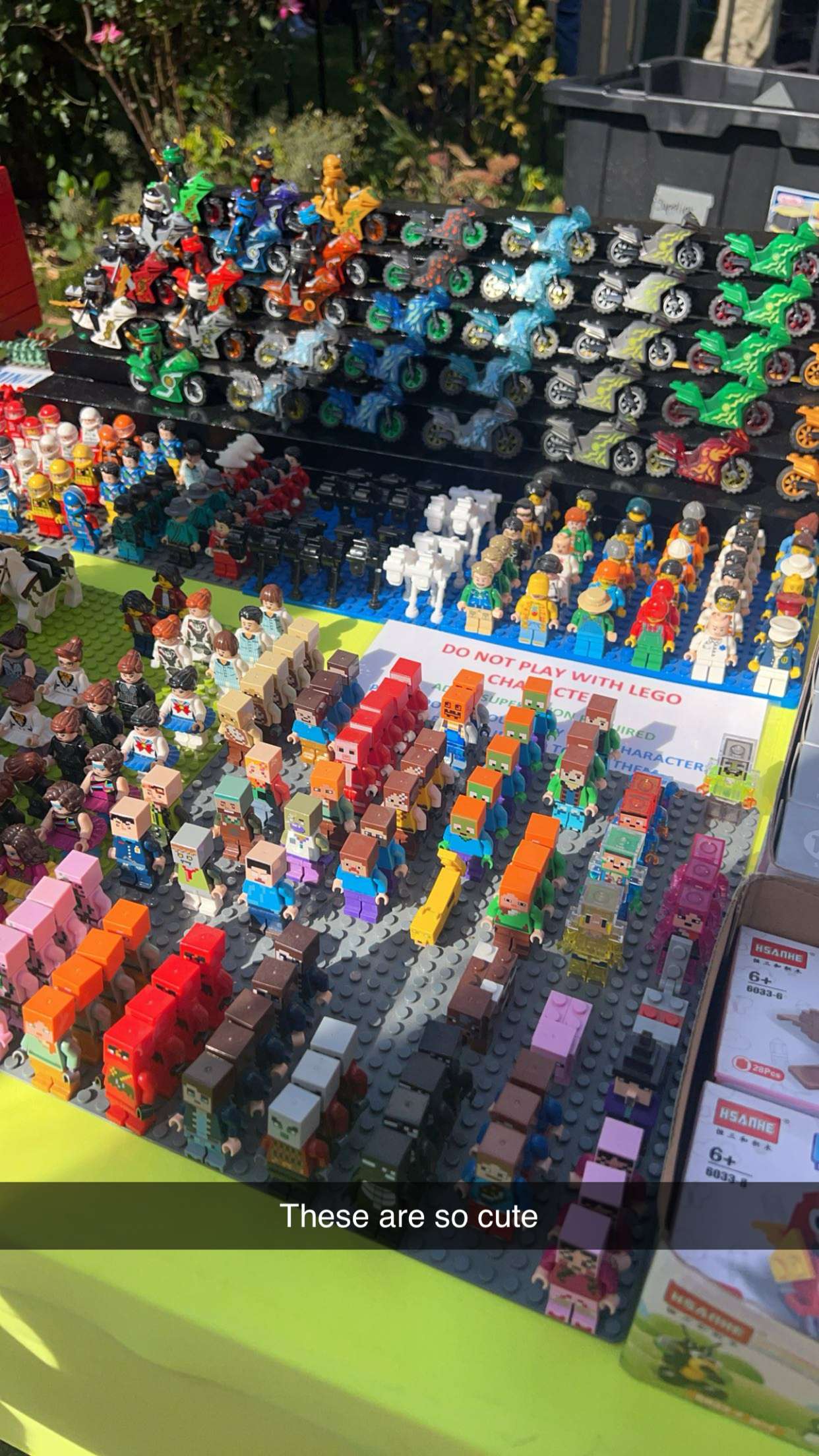 carmmieecat snapchat image archive image