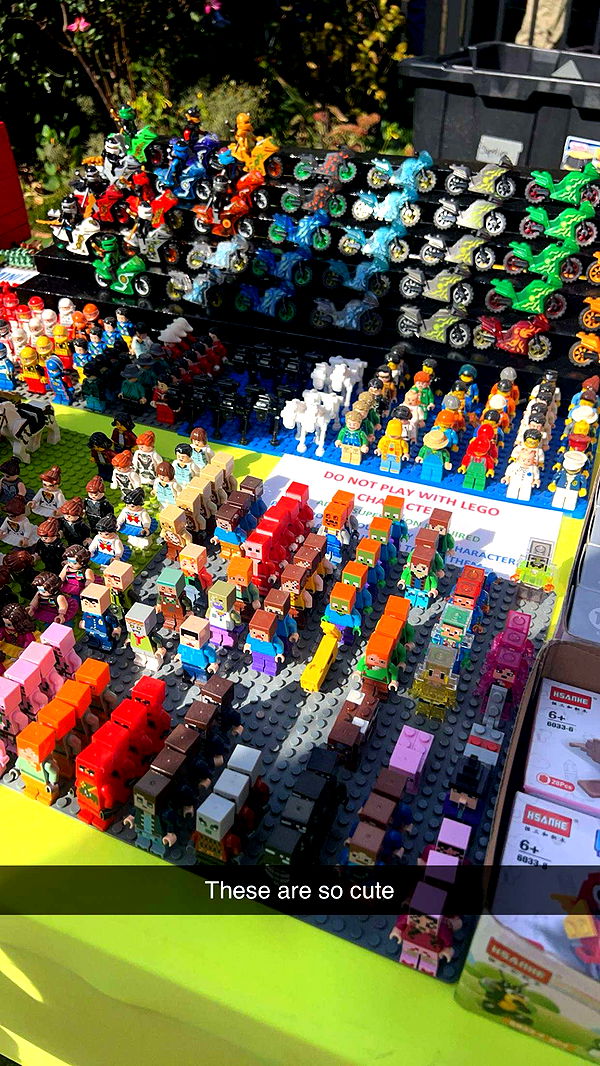 carmmieecat image ~ Altpins