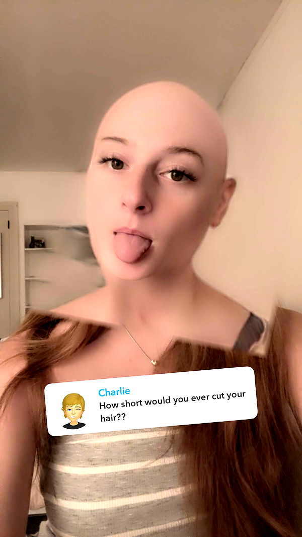 carmmieecat image ~ Altpins