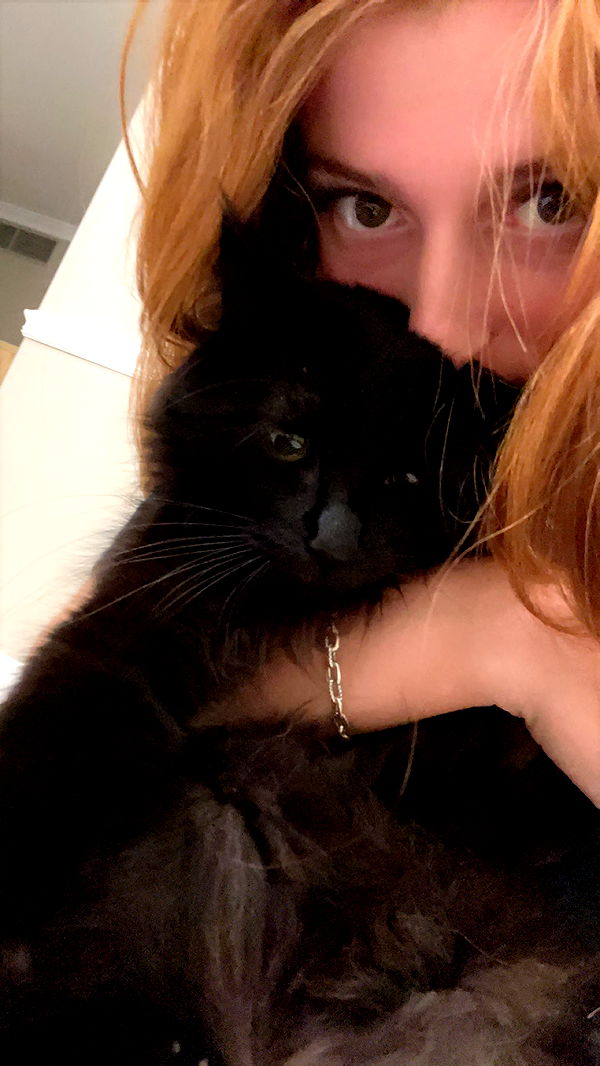 carmmieecat image ~ Altpins