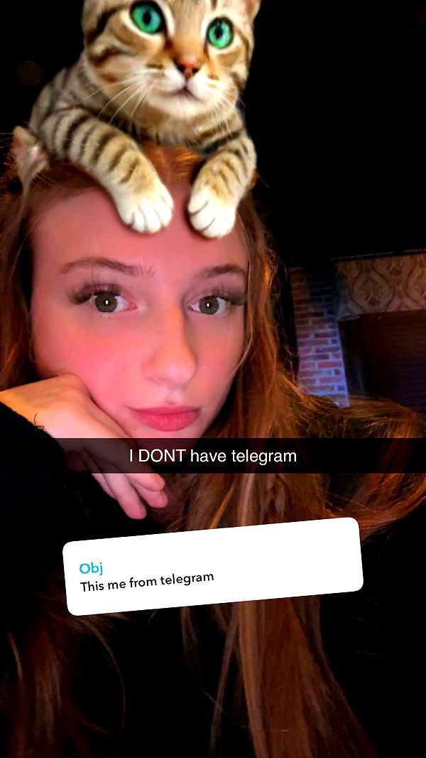 carmmieecat image ~ Altpins