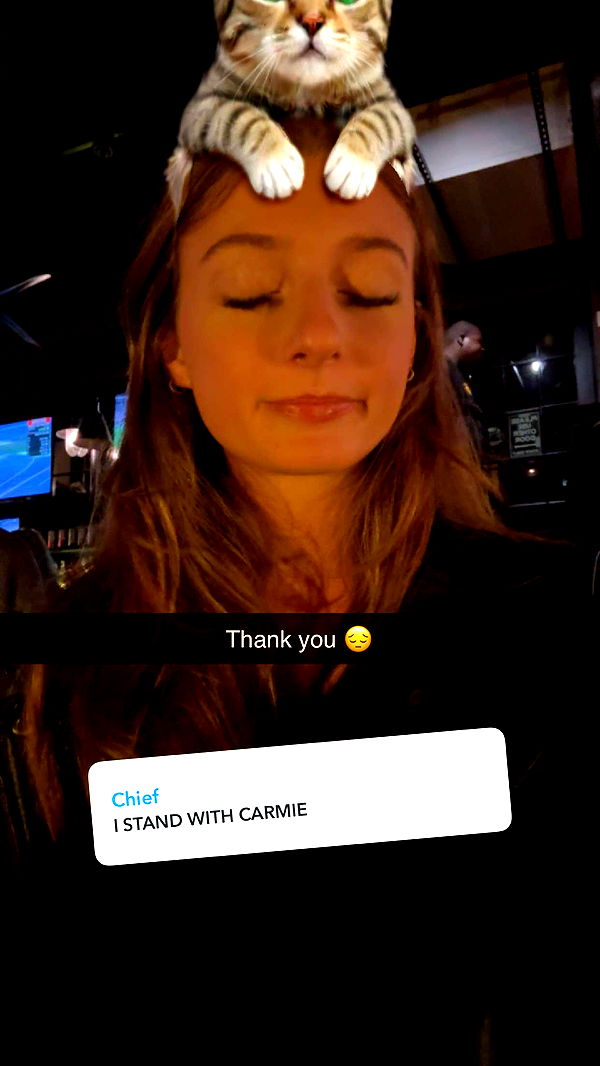 carmmieecat image ~ Altpins