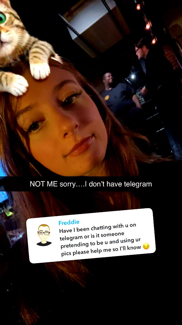 carmmieecat image ~ Altpins