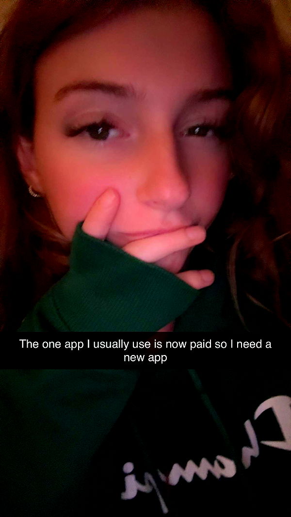 carmmieecat image ~ Altpins