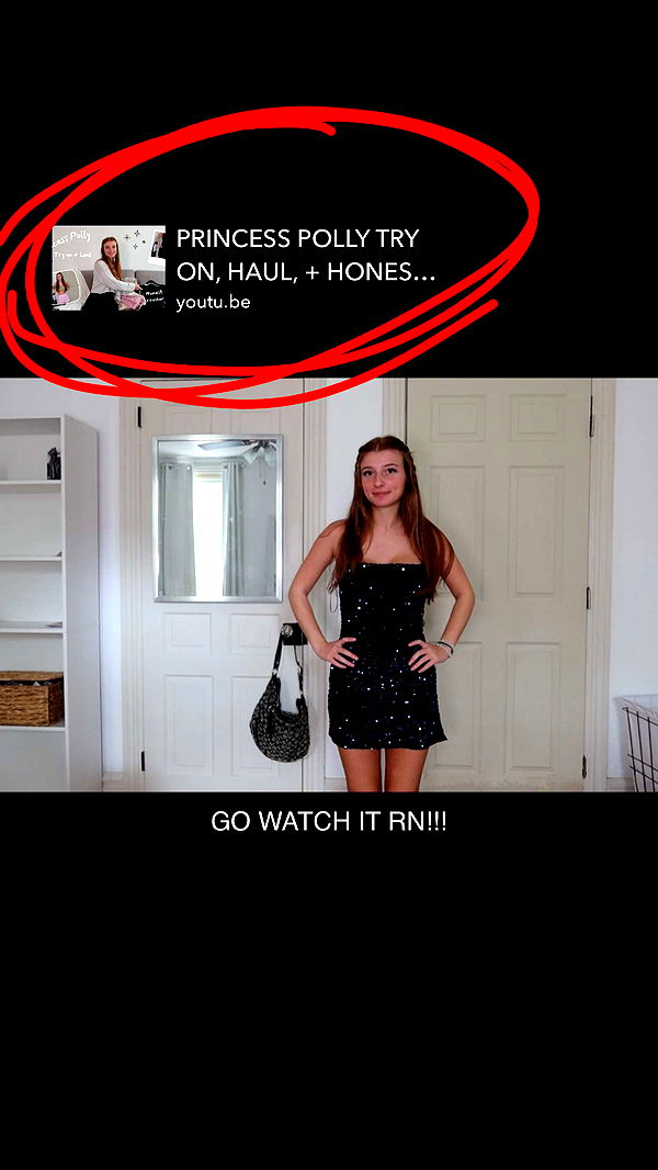 carmmieecat image ~ Altpins