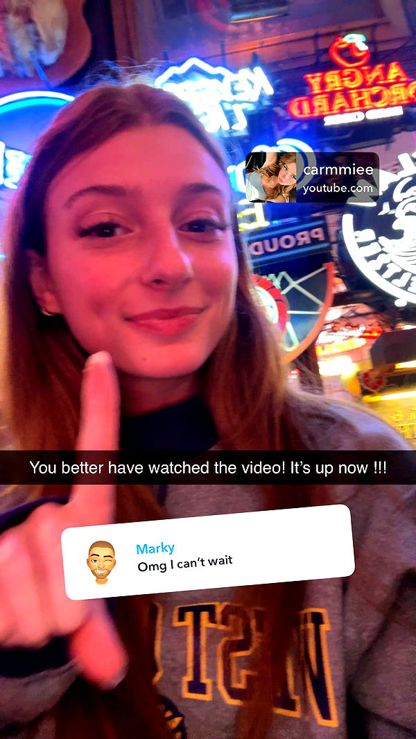 carmmieecat image ~ Altpins