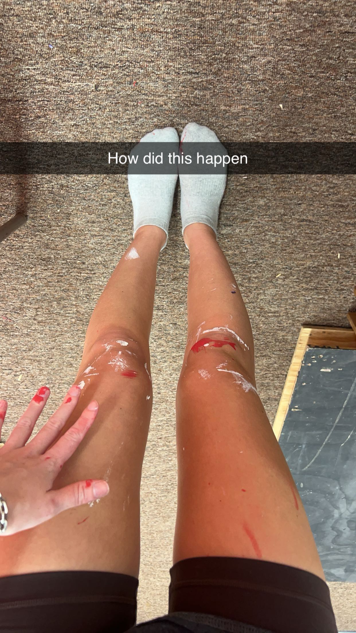 carmmieecat snapchat image archive image