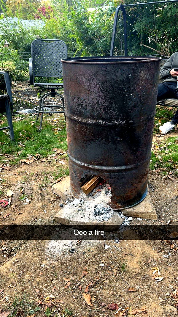 carmmieecat image ~ Altpins