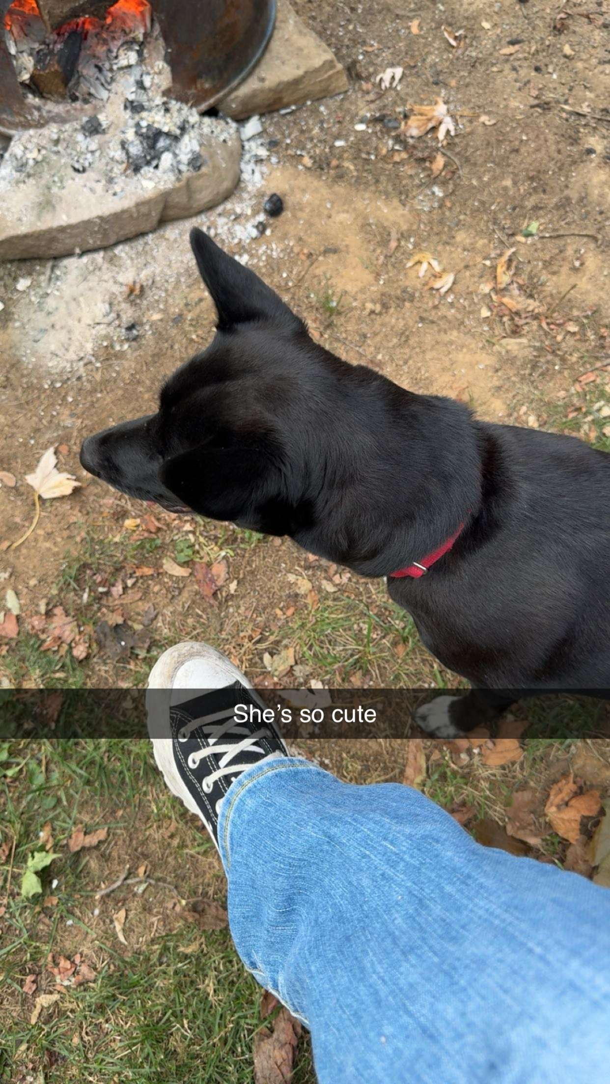 carmmieecat snapchat image archive image