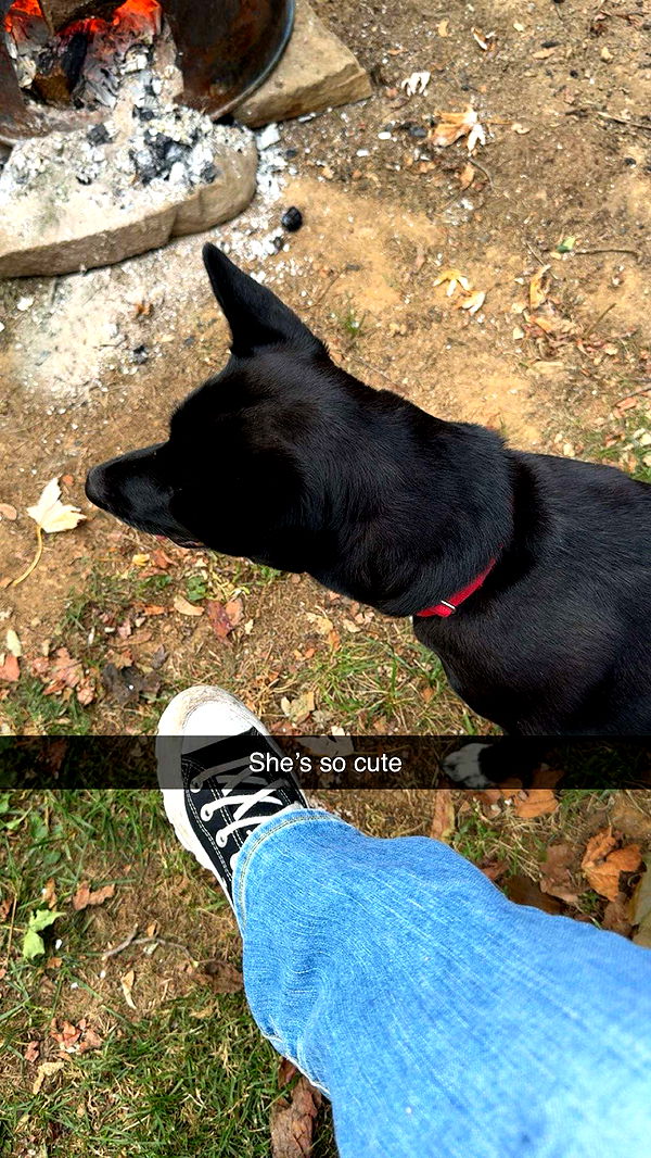 carmmieecat image ~ Altpins