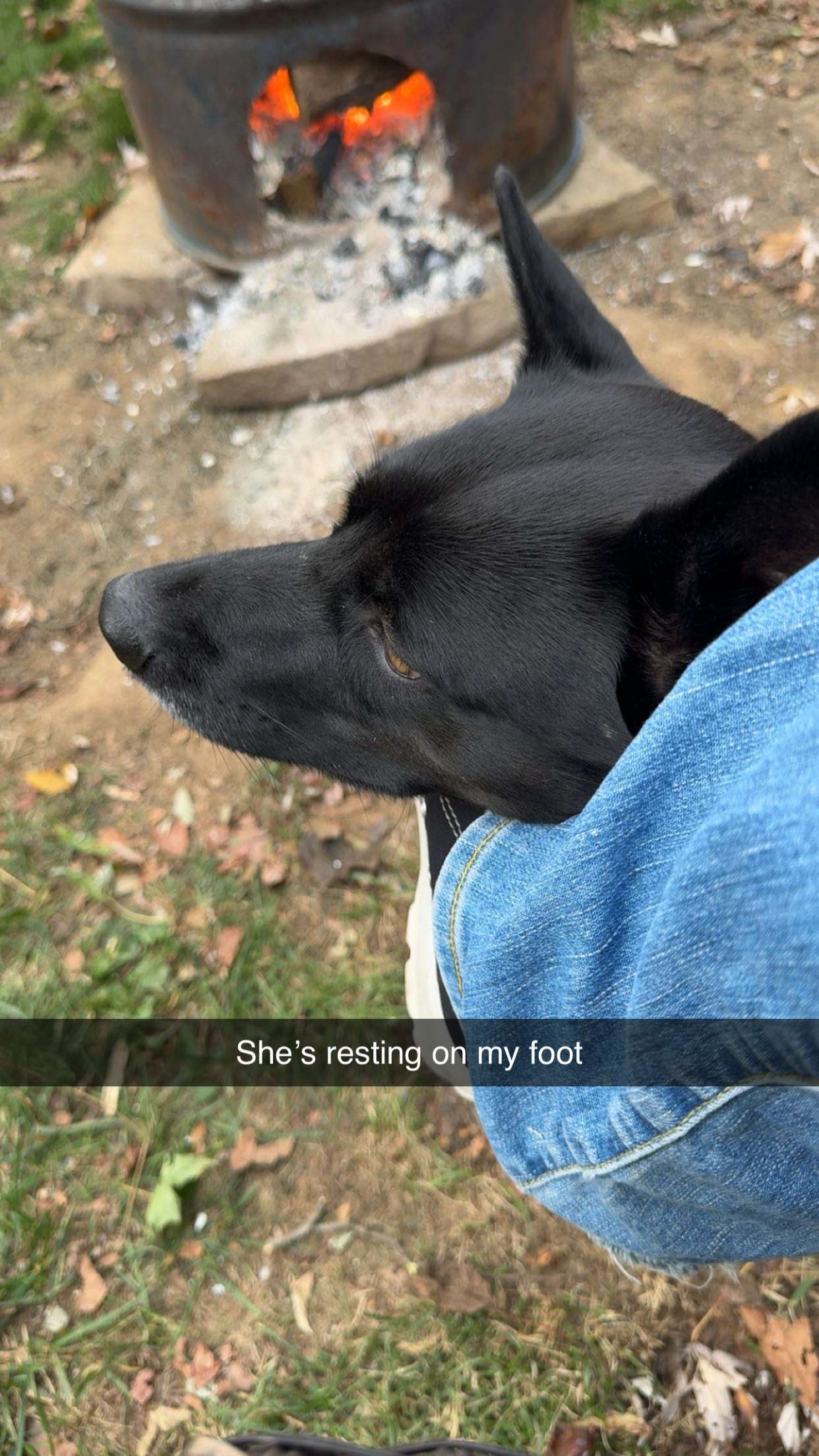 carmmieecat snapchat image archive image