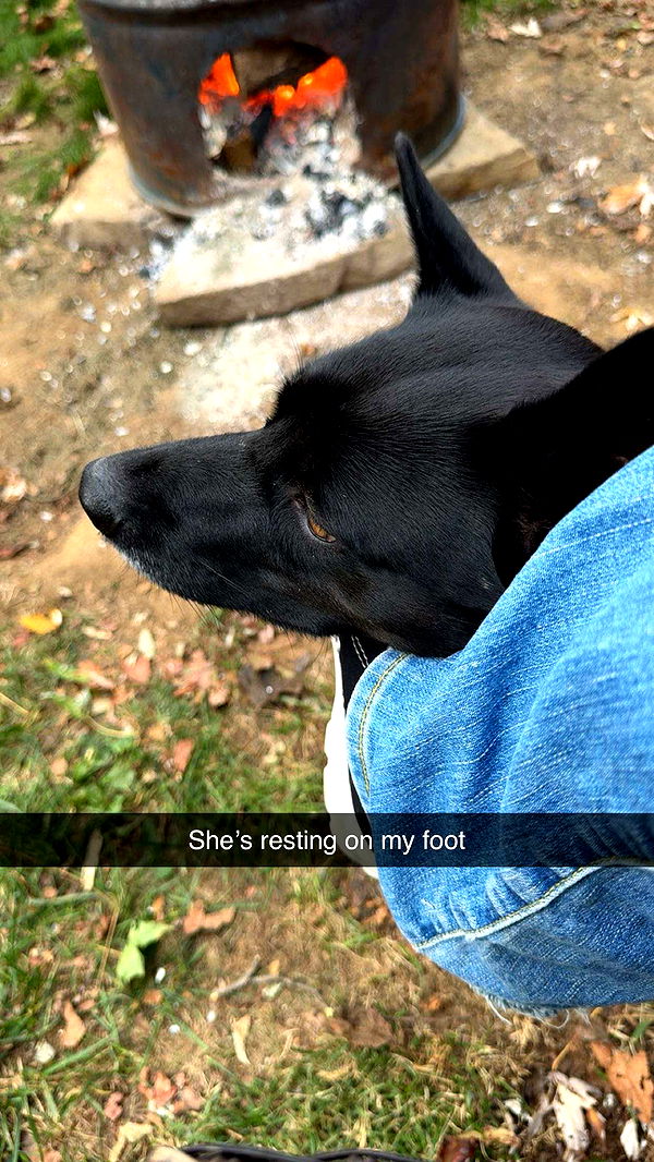 carmmieecat image ~ Altpins