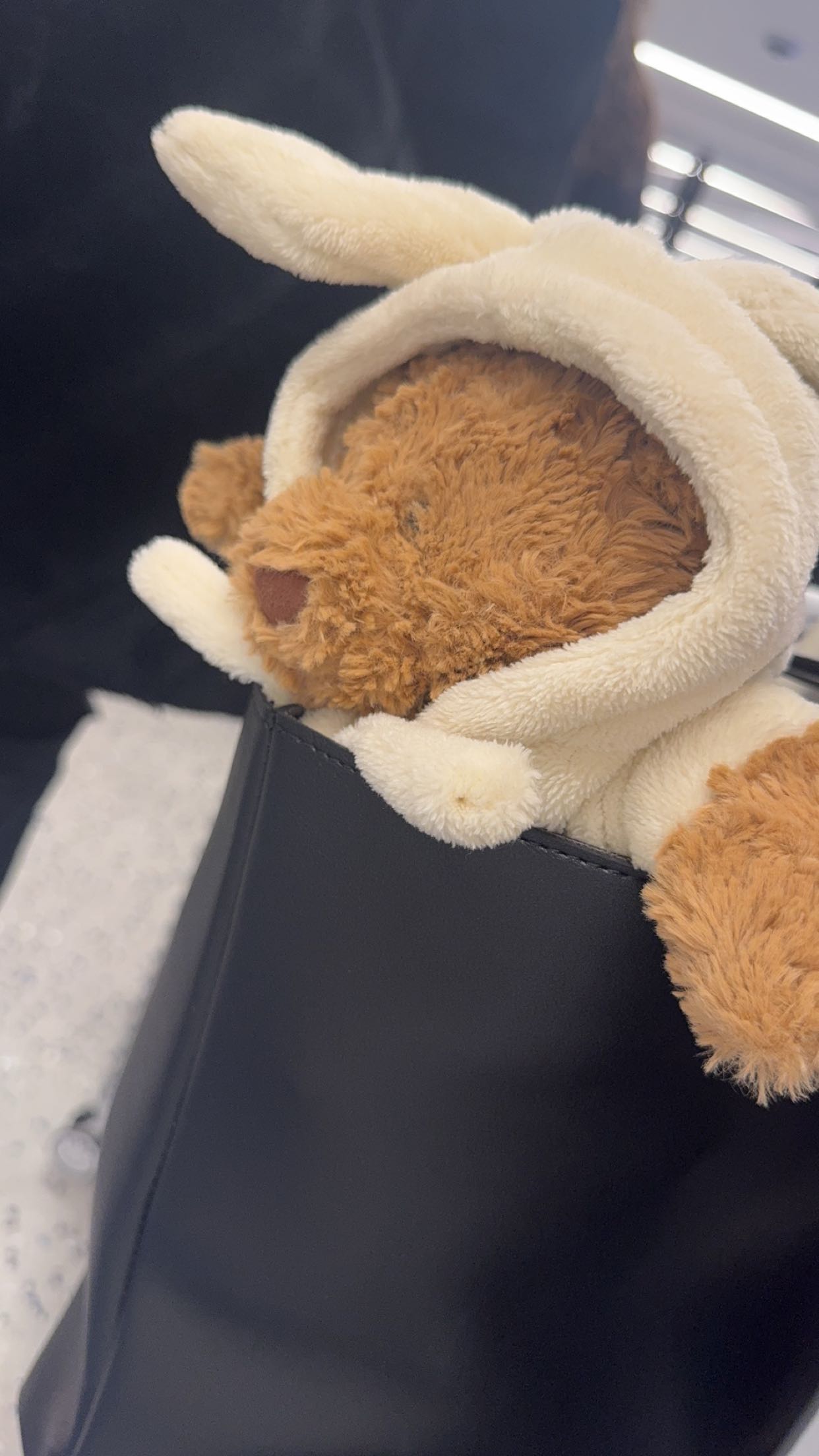 carmmieecat snapchat image archive image