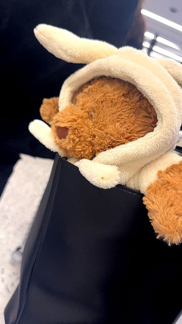 carmmieecat image ~ Altpins