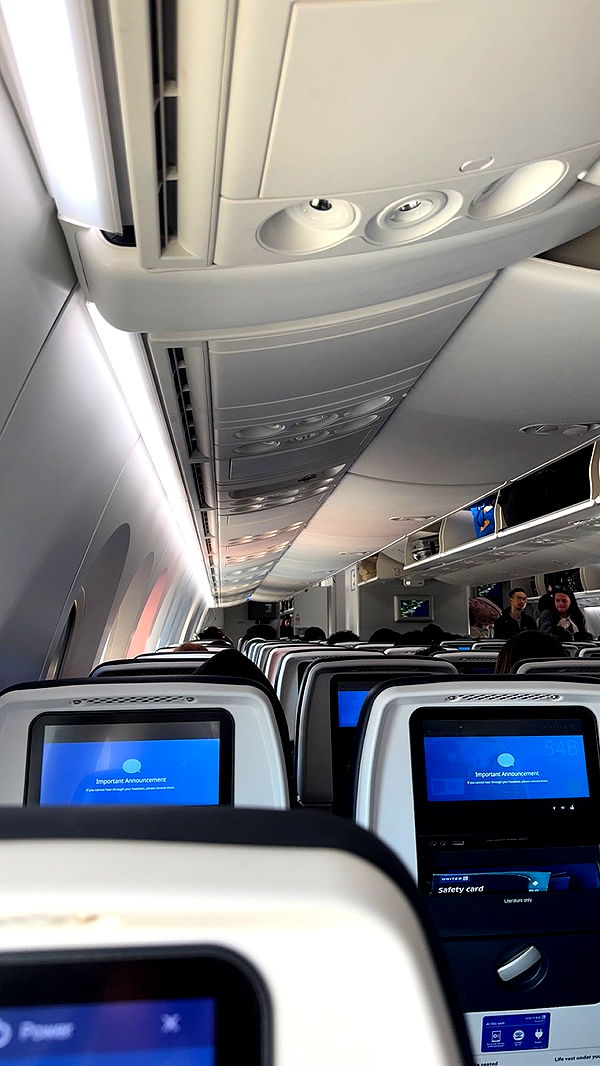 carmmieecat image ~ Altpins