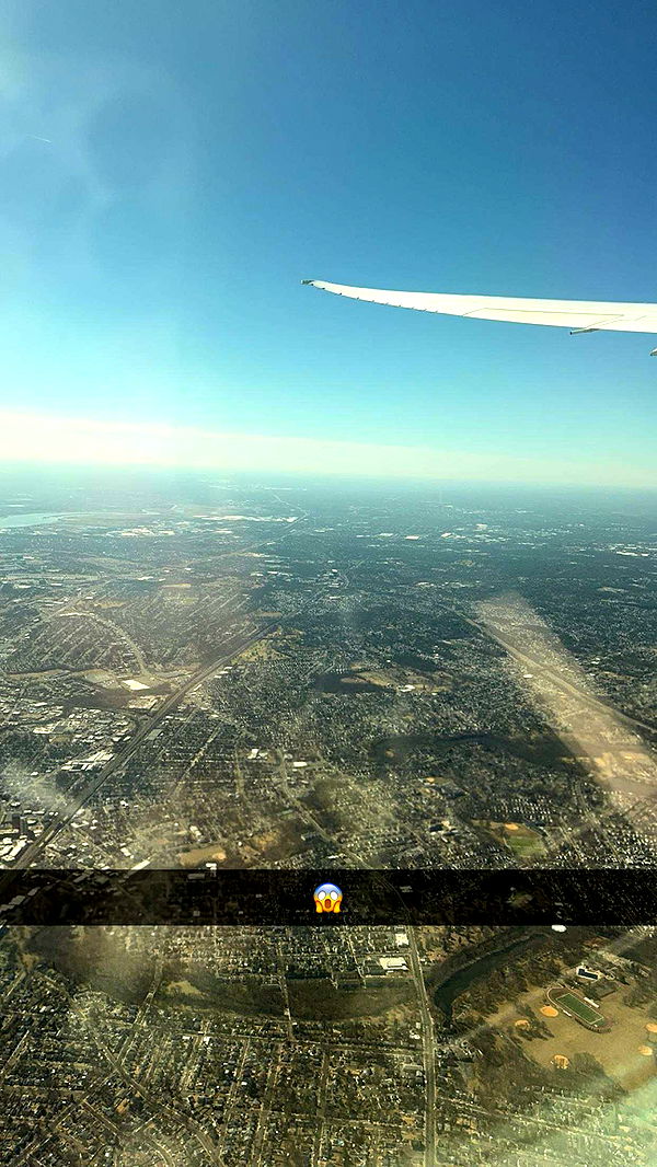 carmmieecat image ~ Altpins