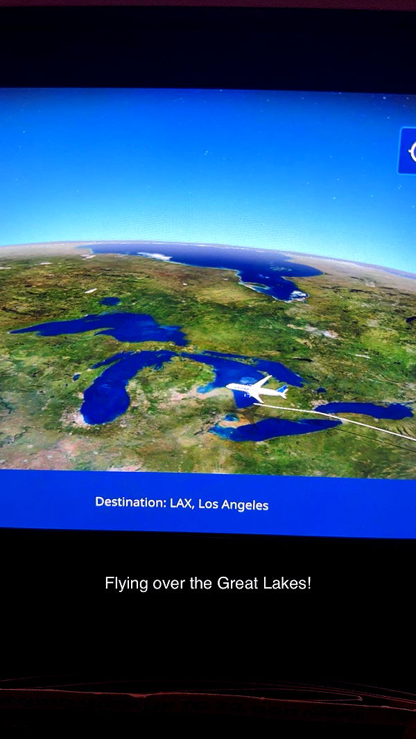 carmmieecat image ~ Altpins