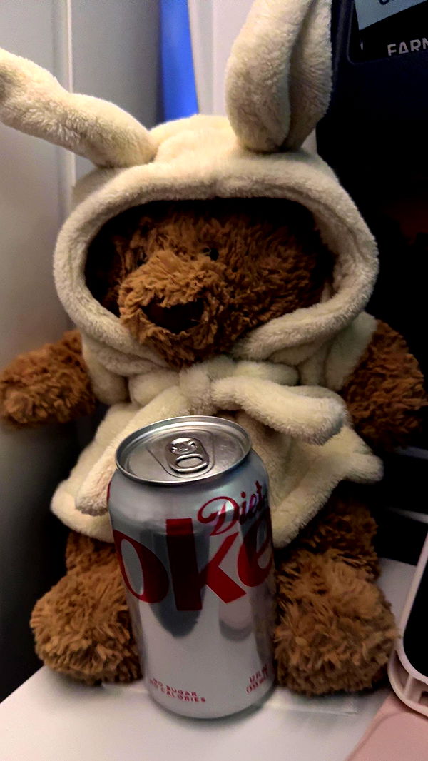 carmmieecat image ~ Altpins