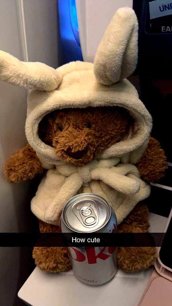 carmmieecat image ~ Altpins